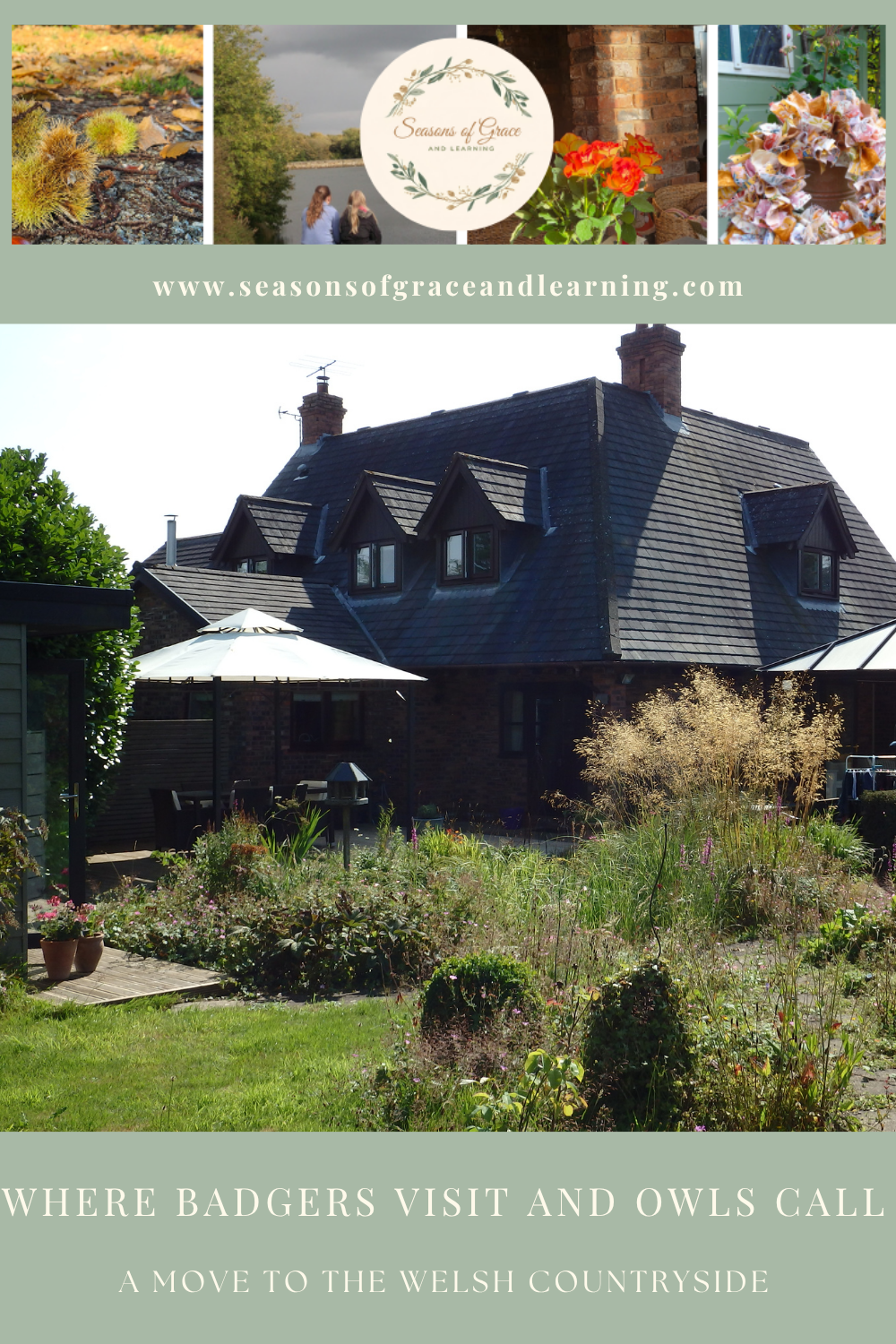 Where Badgers Visit and Owls Call: Life in Our Welsh Country Home