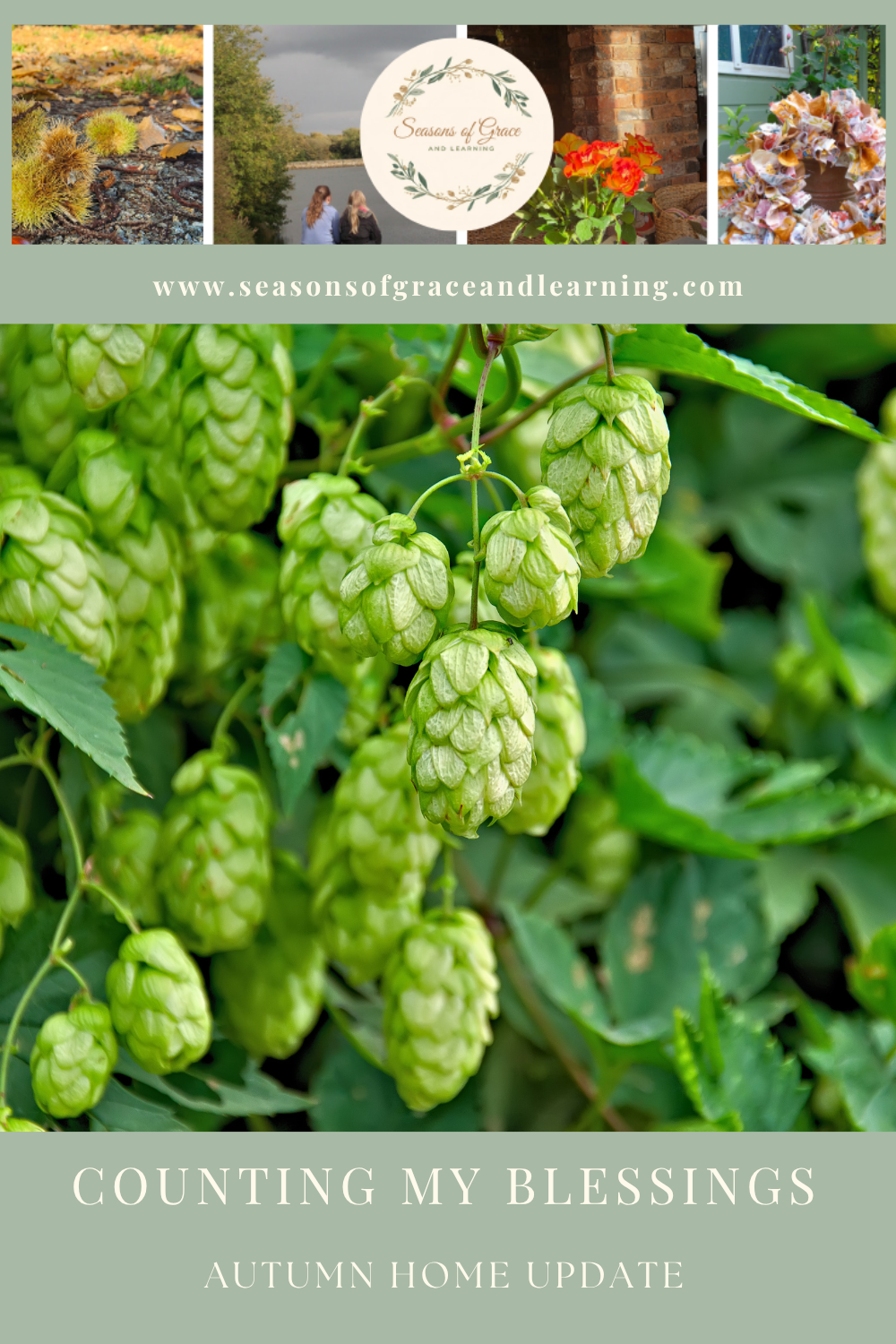 Autumn Home Decor Ideas 2025 For a Cozy and Elegant Vibe