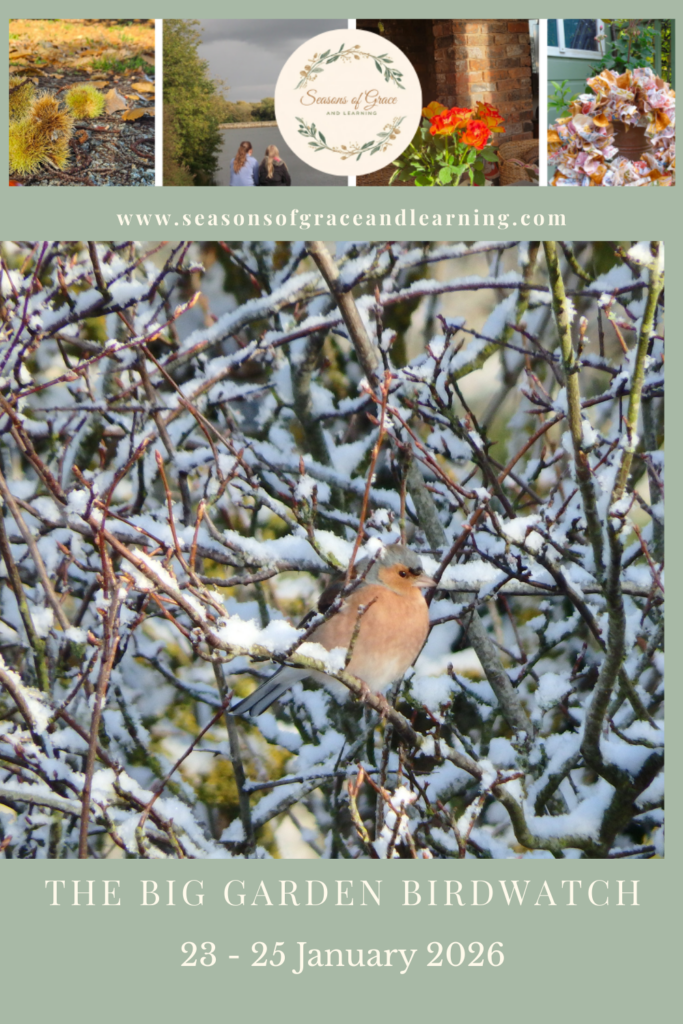 The Big Garden Birdwatch 2026